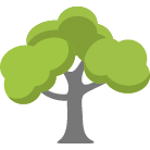 Waco Tree Trimming